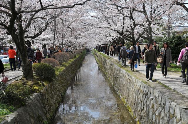 Philosopher's Walk